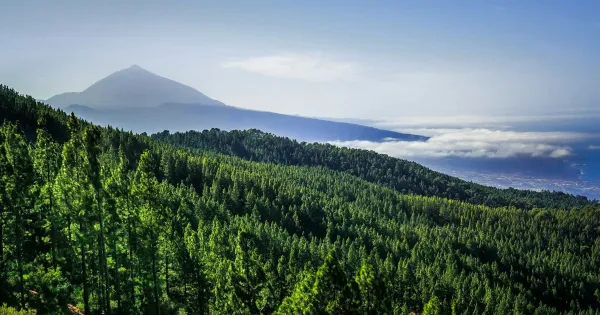 Tenerife Long-Range Weather: 16-Day Forecast for Your Visit